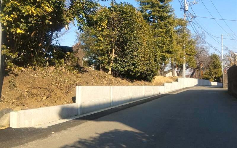 IMG_20260213_144510_1_R